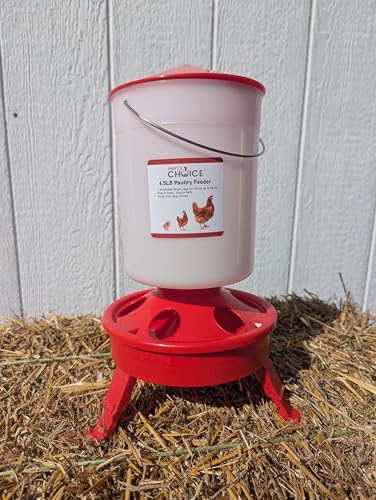 Hen's Choice™ Chick Feeder and Waterer Set, 6.5 lb Feeder, 1.5 L Waterer