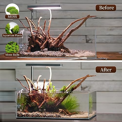 majoywoo Natural Driftwood for Aquarium Decor Fish Tank Decor Reptile Decor | Assorted Driftwood Branch, Natural Driftwood for Aquascaping and Reptile Decor - size: Spiderwood 7 to 11 Inch(Pack of 3)