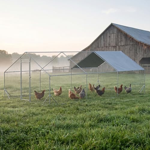 10' x 20' Large Metal Chicken Coop, Outdoor Heavy-Duty Chicken Run with Waterproof Oxford Cover & Secure Lockable Door, Walk-in All-Weather Poultry Cage for Hens, Ducks, Rabbits, Silver - color: Silver B, size: 120.0"L x 240.0"W x 240.0"H