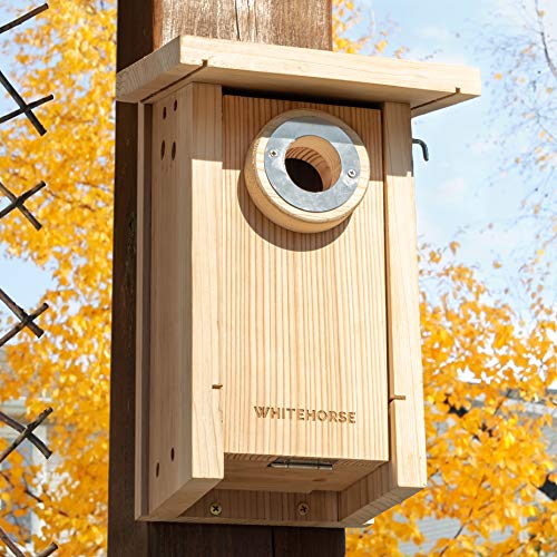 WHITEHORSE Bird House Predator Guards - Size #3 - a Set of 5 Stainless Steel Rings with a 1 3/8" Hole Size (35mm) - Protects The Entry Hole - size: Size #3 (1 3/8")