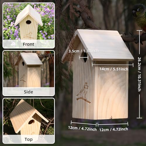 Wooden Bird Houses for Outside Hanging, Decorative Outdoor Clearence Birdhouse for Bluebird, Wren, Chickadee, Natural Wood & Colorful Roof, Ventilation