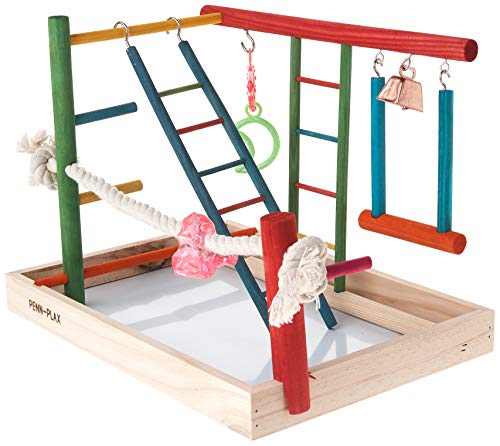 Penn-Plax Bird Life Wooden Playpen – Perfect for Cockatiels and Conures – Large - color: Multicolor, size: Large