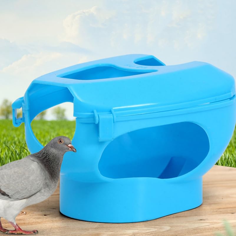 BESTonZON Pigeon Injection Holder 2 Pack Birds Holder Fixed Frame Rack Hollow Out Pigeon Supplies for Medicine Application Easy Install Pet Bird Care