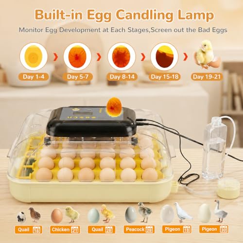 Egg Incubators for Hatching 30 Eggs with Temperature Humidity Control | Chicken Incubator with Humidity Display Auto Water Filling,Quail Incubator with Automatic Egg Turning - color: Yellow