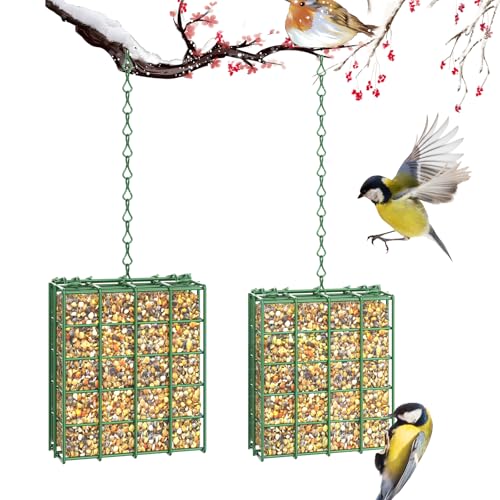 Bird Feeder for Outdoors, Suet Feeder for Outside Hanging Suet Basket Cage | 2 Pack Hanging Bird Feeder Adjustable Chain Hanging for Garden Yard Outside - Suet Cake Feeders Squirrel Proof birdfeeder - style: 2 Packs