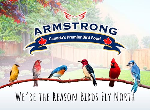 Armstrong Wild Bird Food Royal Jubilee Jays Blend, 16 Pounds - with Whole Corn, Striped Sunflower, Black Oil Sunflower and Peanuts for Blue Jays - Ideal for Outside Feeders - size: 16lbs, style: Pack of 1