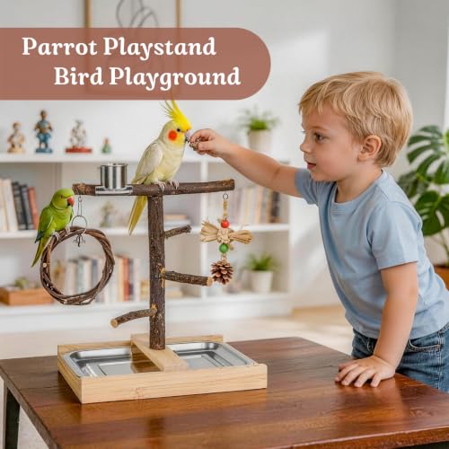 Bird Playground,Natural Wooden Parrot Play Stand with Swing,Chew Toys,Feeding Cups,Bird Perch Suitable for Small and Medium Birds Like Parakeets, Budgerigars,Cockatiels
