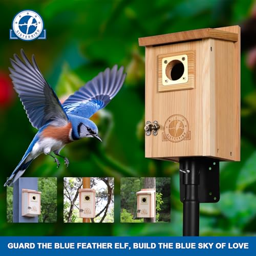 SISTERBIRD Bird Houses for Outside Clearance with Copper Guard, Cedar Bird House Outdoor, Bluebird Finch Swallow Wren Chickadee - color: Burly Wood & Copper-colored -- 1PC