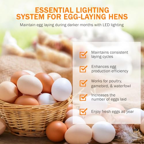 AutoCoop LayLight2 with Smart Timer - Automatic Chicken Coop LED Daylight Extender - Chicken Coop Light with Programmable Settings for Boosting Chicken Egg Production