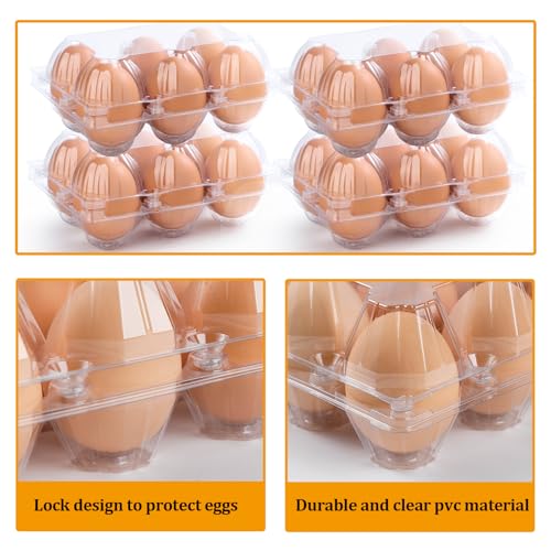 180 Pack Plastic Egg Cartons Cheap Bulk 6 Count, Clear Egg Trays 2x3 Grids | Bulk Egg Carton Fits Small to M Chicken Eggs, Reusable Egg Holder/Container for Family, Chicken Farm and Markets - size: 180P2×3