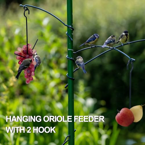 Zonon 2 Pcs Oriole Feeders for Outdoors Hanging Orange Jelly Fruit Holder for Birds with Hook Black for Outdoors Garden Patio (2 Prongs) - color: 2 Prongs
