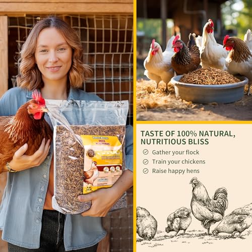 BUNTIE WORMS 5LB Dried Mealworms for Wild Birds and Chicken | High Protein Chicken Treats, 100% Natural Non-GMO Mealworms Chicken Feed for Bluebirds, Chickens, Ducks, Reptiles - size: 5 Pound (Pack of 1)