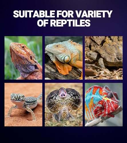 REPTI ZOO 2Pack Reptile Heat Lamp 100W Reptile Night Heat Bulb Night Heat Lamp Without UVA for Turtle Bearded Dragon Gecko Lizard and Snake E26/E27 Purple