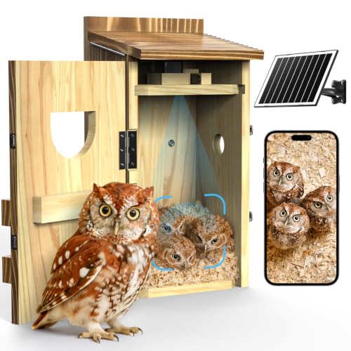 Screech Owl Nesting Box with Camera,Isolated Camera Bay,Owl House,Solar | 2.4G WiFi,2K HD,Night Vision Camera,Included Wood Shavings for Outdoor Yard Nesting,Solar Powered