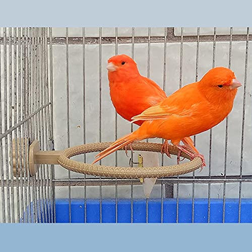 FOIBURELY 2 Ring Plastic Stand Perches Holders Canary Finch Budgie Bird Cage Universal Plastic Stand Perches Holders（4.6 Inches）