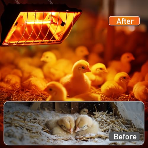 250W Chicken Brooder Heater for Chicks Ducks, Brooder Heater with 2PCS Heat Lamp, 6ft Cord Chicken Brooder Lamp with Adjustable Temp & Height, Chicken Coop Heater for Livestock Indoor Warmer