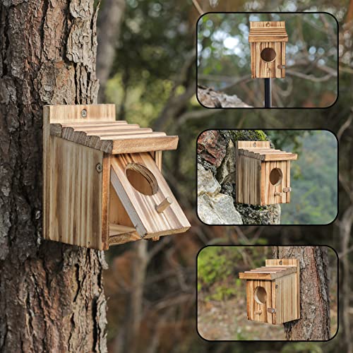 Humming Bird Houses for Outdoor Hanging Small Bird Nesting Box - Wood Nest for Wren, Chickadee, Robin, Hummingbird, Parakeet - Perch House for Outdoors Birdhouse Birds - Made of Pine Wood