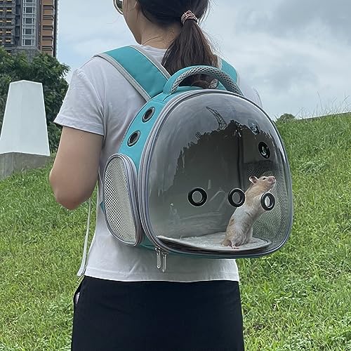 Portable Travel pet Backpack Carrier Hamster Bag Guinea Pig Bird Small Dog cat Turtle Carrier Rabbit Cage Squirrel Bearded Dragon Breathable Hangbag (Green) - color: green