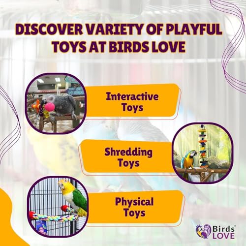 Birds LOVE Wood Stars & Leather Toy for Bird Cage Stand or Playgym, Bird Toys for Small to Medium Parrots, Sun Conures, Green Cheeked Conures, Quakers, Parakeets, Caiques, Cockatiels, African Senegals