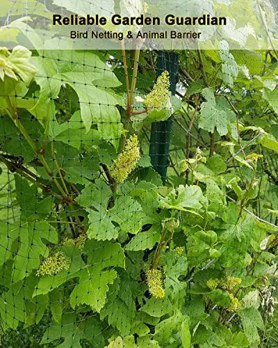 KLEWEE Bird Netting, 7.5x25 FT Heavy Plastic Duty Garden Netting Deer Fence | Fruit Tree Plant Vegetable Protection, 3/4" Fine Mesh from Birds Deer Squirrel Animals, UV Resistant, 10 Stakes & 50 Zip Ties - size: 7.5 x 25 FT