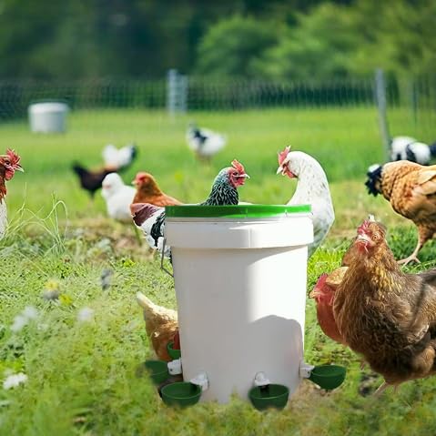 Farmight Automatic Poultry Waterer Kit – Leak-Free Large Self-Filling Cups with Drill Bit for Chickens, Ducks, Quail, Geese & Turkeys - 5 Pack