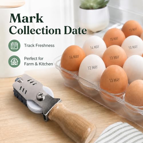Egg Date Stamp Kit (Egg Dater + Black Quick-Drying Ink Pad), Clear Text Egg Marker, Egg Date Stamps for Fresh Eggs, Egg Stamper for Chicken Tenders