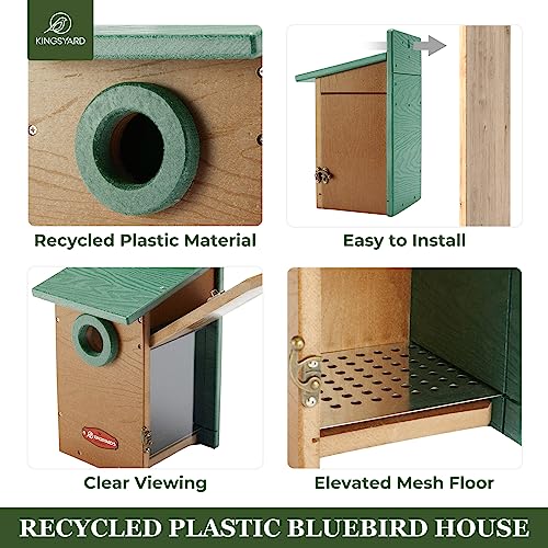 Kingyard Bluebird House, Outdoor Bird House with Predator Guard | Recycled poly lumber nesting box with a 1.5-inch entrance hole, clear viewing panel, bottom ventilation holes - color: Green