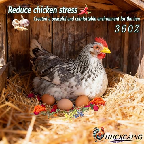 36 oz Nesting Herbs for Chicken coop – All-Natural Chili Blend for Nest Boxes & Bedding, Backyard Chicken Herbal Supplement, Promotes Balanced Digestive Health, Feather Quality, and Egg Production