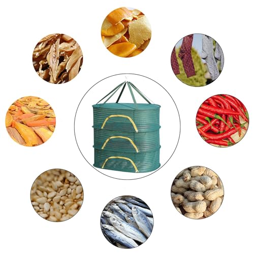 Hanging Drying Net Herb Drying Rack Foldable Fish Mesh Rack Net 19.7"x27.6"x25.5" Large 3 Layer Collapsible Dry Net with Zippers for Drying Fish Plants Vegetables Fruit Herb Flowers Clothes (Green) - color: Green