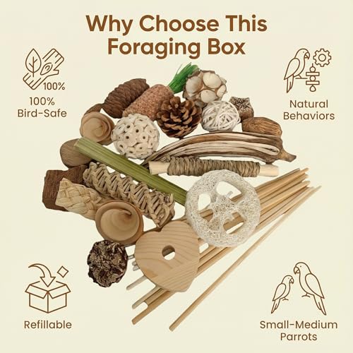30PCS Natural Foraging & Chew Parrot Toys, Shredding Box for Birds | Natural Bird Toy Set for Parakeets, Cockatiels, Conures & Lovebirds, Helps Reduce Stress & Cage Boredom - size: Medium