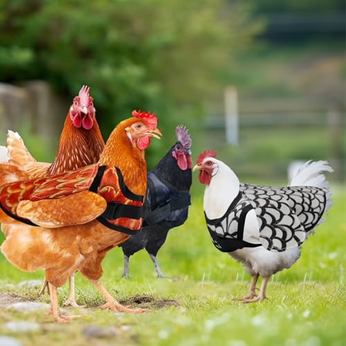 3-Pack Chicken Saddle for Hens, Wing & Back Protector Aprons | Adjustable chicken saddle protects hens’ back and wings from rooster mating, pecking and feather loss