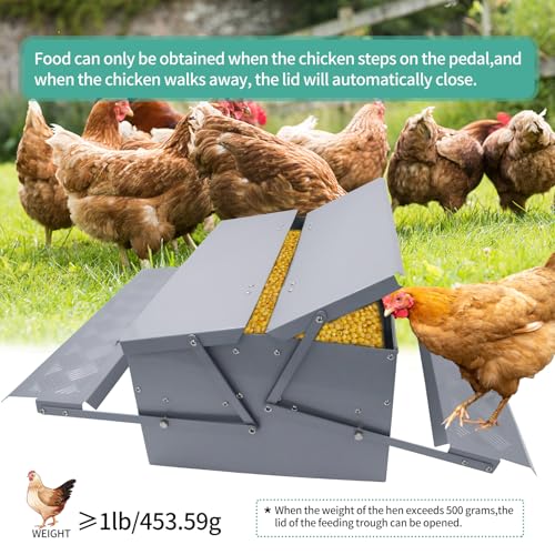 Automatic Chicken Feeder Treadle Poultry Feeding Trough Plastic Spraying Steel 25lb No Spill for Roosters Duck Goose and Turkey