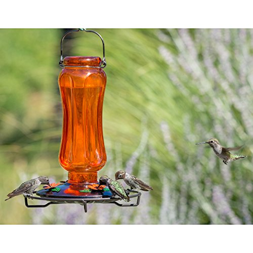 Perky-Pet PP8135 Vintage Carnival Glass Oriole Feeder