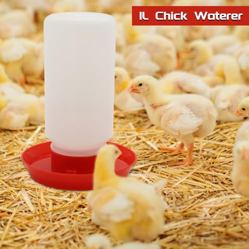 Chicken Feeder and Waterer Kit | Flip Top Chick Feeder with 12 No Waste Feeding Holes,1L Plastic Waterer,Starter Kit for Baby Chicks, Ducks,Easy Fill