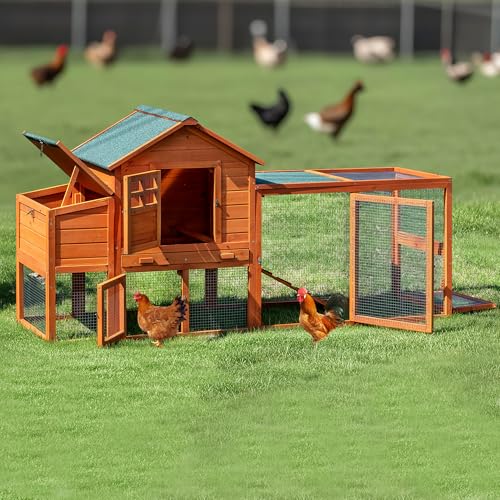 Large Chicken Coop Outdoor Durable Duck House Poultry Pet Hutch & 2 Wood Eggs Run Cage Nesting Box Waterproof Asphalt Roof Ramp Removable Tray Wire Fence for Backyard Small Animal (Orange)
