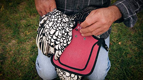 DOWN UNDER OUTDOORS Medium-Large Chicken Saddle Hen Apron Saver (Burgundy) | Adjustable Straps, Chicken Apron, Poultry Saver, Pet Supplies, Including Shoulder Cover, 14 oz Breathable Cotton Canvas - color: Burgundy