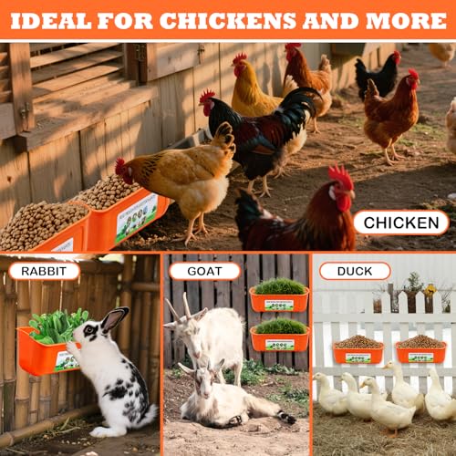 3 Pack Chicken Feeder, Duck Feeder Supplies, Hanging Fence Feed Trough with Clips for Goat, Sheeple, Piglet, Gooses, Turkeys, Dog Livestock Poultry, 8 Quarts in Total, Feed Scoop Included, Orange - color: Orange 3pcs