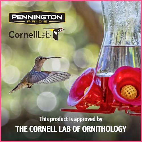 Pennington Electro-Nectar Hummingbird Nectar Ready to Use 64-Oz Bottle | With electrolytes, no added color, naturally clear, humming bird nectar, for bottom fill, top fill and dish feeders