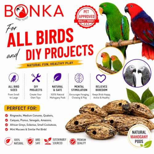 Bonka Bird Toys 3410 Drilled Mahogany Pods Shreddable Foraging Bird Toy with Natural Materials Hanging Cage Toy 9" for Small to Medium Parrots Budgie Cockatiel Conure Chewing Enrichment (Pack of 12) - size: Pack of 12