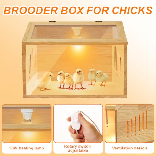 Brooder Box for Chicks，Indoor Smart Wooden Poultry Brooder with Heater, Suitable for 5-7 Newborn Chicks, Ducks, Quail, etc.（12 * 12 * 15.7inch） - size: 15.7"L x 12.0"W x 12.0"H