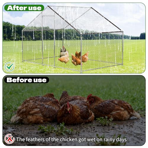 6.6x13 Ft Chicken Coop Cover with 10 Pcs Ball Bungees Cords Transparent Waterproof Material Protection from Sun Rain Snow and Low Temperature
