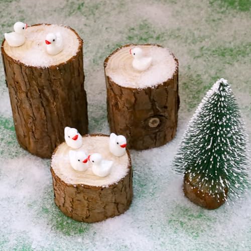 100 Pcs Mini Resin Ducks Tiny Ducks Miniature Duckies Bulk Figures for Garden Micro Landscape Home Prank Game Micro Landscape Aquarium Dollhouse Ornament DIY Handmade School (White) - color: White