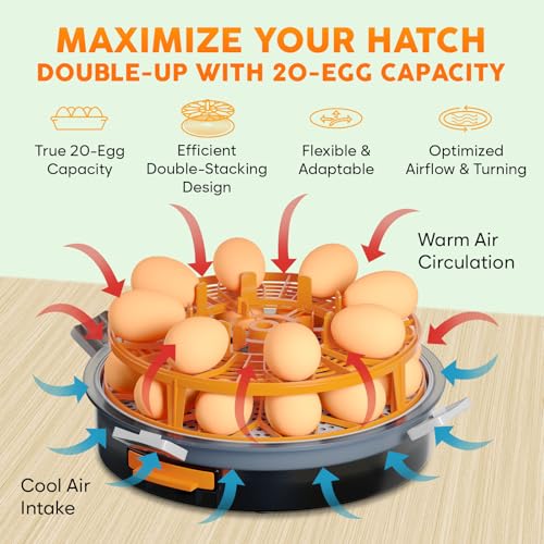 Egg Incubator with Automatic Egg Turning and Humidity Control – 12 or 20 Egg Incubator for Hatching Eggs – incubadora de huevos de gallina – Smart Temp Adjust – Candling Lamp