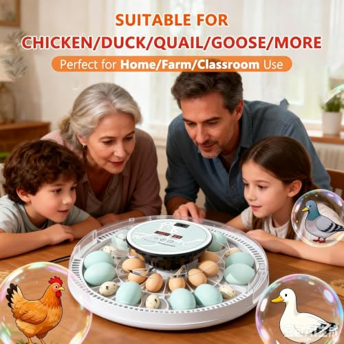 MeeF Egg Incubator for Hatching 28 Eggs, Auto Flip, Independent Atomizing Humidifier, with Duck and Goose Egg Trays (Green)