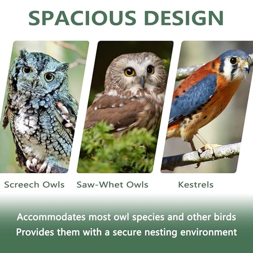 Screech Owl House 14 x 10 Inch, Cedar Wood Owl Box with Bird Stand Design, Owl Nesting Box with Mounting Screws and Wood Shavings - style: Bird Stand Design