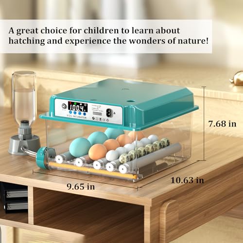 Egg Incubator for Hatching 16 Eggs|24 Quail Eggs, All-in-One Auto Incubator | Automatic Egg Turning, Precise Temperature Control, Stable Humidity Control, Adjustable Rollers for Duck, Goose, Pigeon Eggs