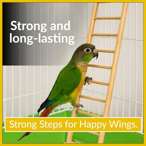 Wooden Bird Ladder 11 Step Climbing Toy 17 Inch Parrot Cage Accessory Interactive Exercise Perch Durable Natural Wood for Parrots Cockatiels Budgies Finches Conures Lovebirds Cage Decor