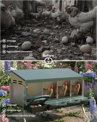 GarveeLife Chicken Nesting Box 4 Hole, Galvanized Steel Nest with Roll Away Egg Collection & Swing Perch, Easy-Clean Laying Box for Hens, Heavy Duty Design for Chicken Coop - color: Green, size: 4 holes with legs