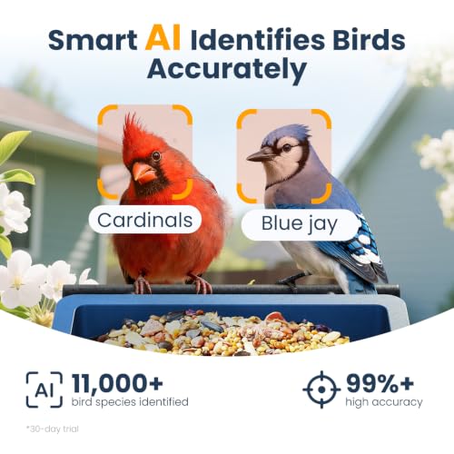 Smart Metal Bird Feeder with Camera, Light Blue | Squirrel Proof, 2.5K UHD AI Identification, Wireless Solar Powered, Real-time Videos & IMG, Outdoor for Garden Birding - color: Light Blue