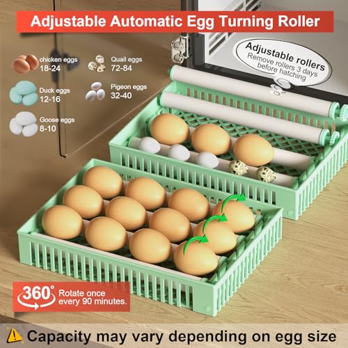 Egg Incubator for Hatching 24 Chicken Eggs |84 Quail Eggs | Precise Temperature & Humidity Control, Adjustable Rollers for Duck,Goose,Pigeon Egg, Auto Egg Turning,Water Refilling